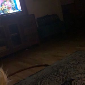 Meet your Posher, Lucas